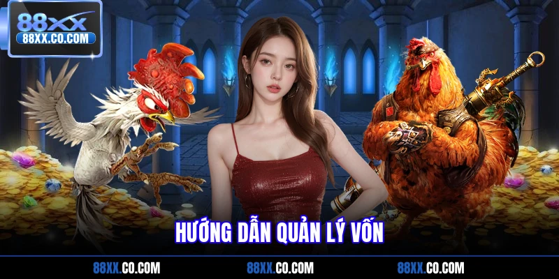 Hướng dẫn quản lý vốn
